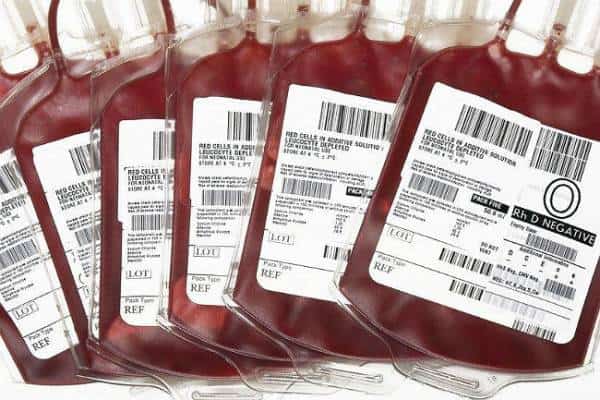 רוצים להישאר צעירים לנצח? תהיו ערפדים ושתו פלסמה מדמם של צעירים