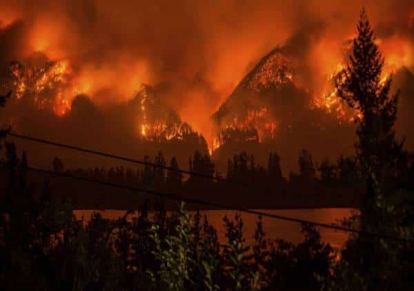 פונו ממקום מגוריהם בשל שריפה רק כדי לצפות בחוסר אונים במצלמות האבטחה המחוברות לטלפון בבוזזים השודדים את ביתם 