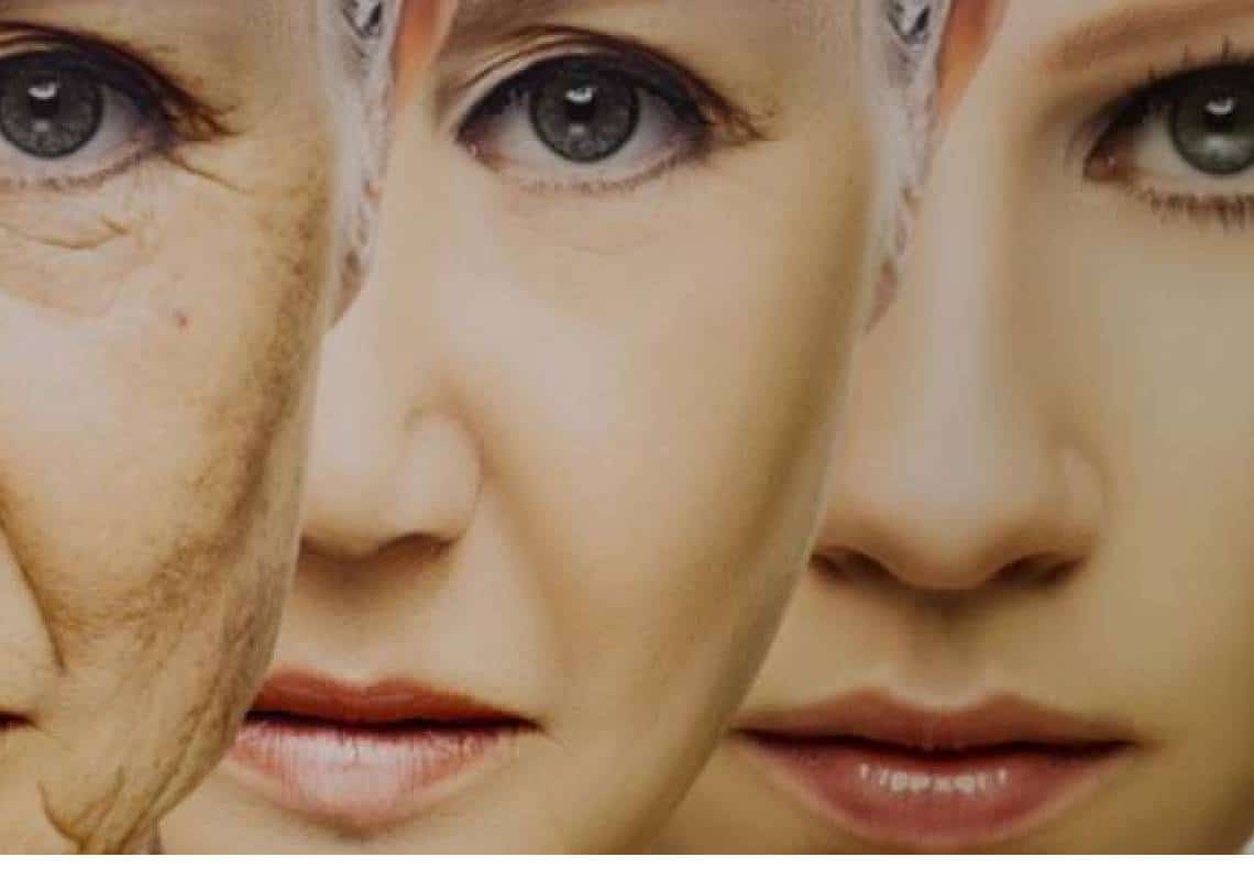 סרט אימה? מחקר חדש באוניברסטת סטנפורד מראה ש"קצירת דם וחלקי גוף של צעירים" יכולים לעזור להשיג "אלמוות"