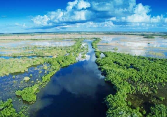 סכנה למי השתיה ולחיות הנכחדות: תושבי פלורידה מתנגדים לקידוחי נפט ב-Everglades