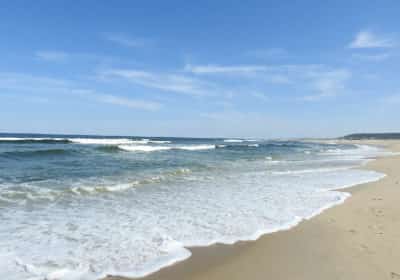 החוף הסודי של ניו יורק: שעה נסיעה בלבד, מדורג שלישי בארה"ב - ובגדי ים הם אופציה בלבד