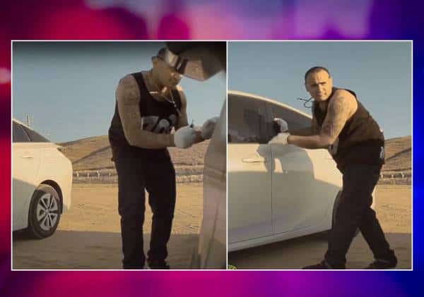 עקיצה בפחות מ-60 שניות: הקלות הבלתי נסבלת שבה פורצים לרכבים בארה"ב