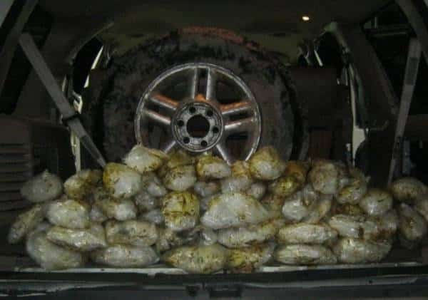 עם בנה ברכב: צעירה נעצרה בקליפורניה בגין הברחת סמים