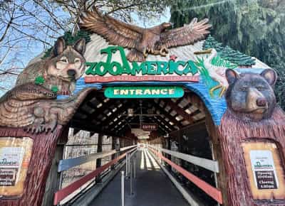 שנייה אחת של הסחת דעת בגן חיות: פעוט זחל לכלוב זאבים וחולץ כשהוא פצוע