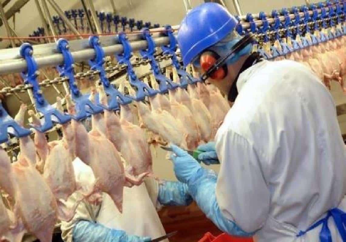 "נגמרה תקופת המזון הזול": בכיר בתעשיית המזון מכריז על העתיד לבוא