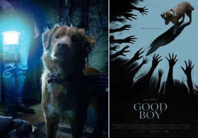 הצופים כבר בפאניקה: סרט אימה חדש מציג את העלילה דרך עיני כלב