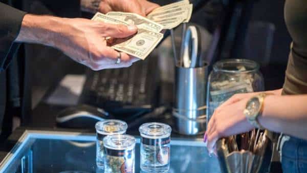 תעשיית הקאנביס בקליפורניה: ערים במדינה רושמות רווחים של מיליונים מתחילת השנה