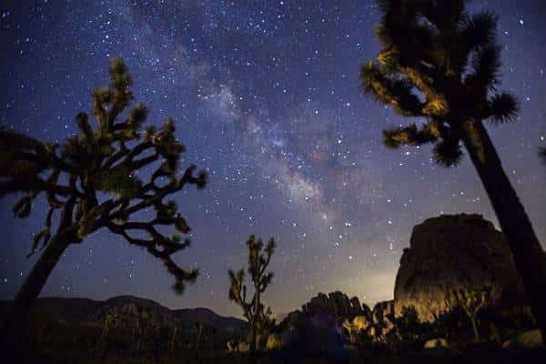 מסיבת כוכבים: דווקא במקומות החשוכים ביותר של קליפורניה תמצאו את האור