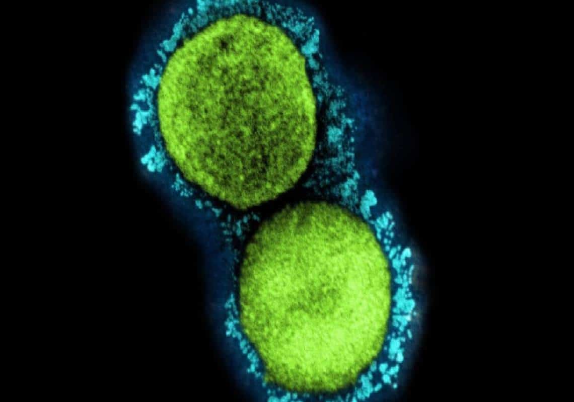 "'אומיקרון BA.2 אחראי ל-60 אחוז ממקרי הקורונה בארה"ב"