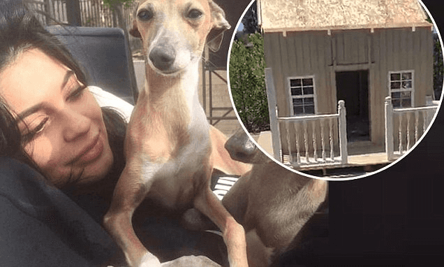 בית הכלבים: קיילי ג'נר הולכת בדרכי פאריס הילטון ובונה אחוזת יוקרה לחיות המחמד שלה