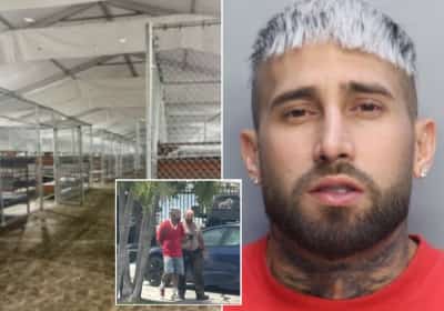 בעל גרין קארד נעצר במיאמי - והועבר למתקן הכליאה 'אלקטרז התנינים' 