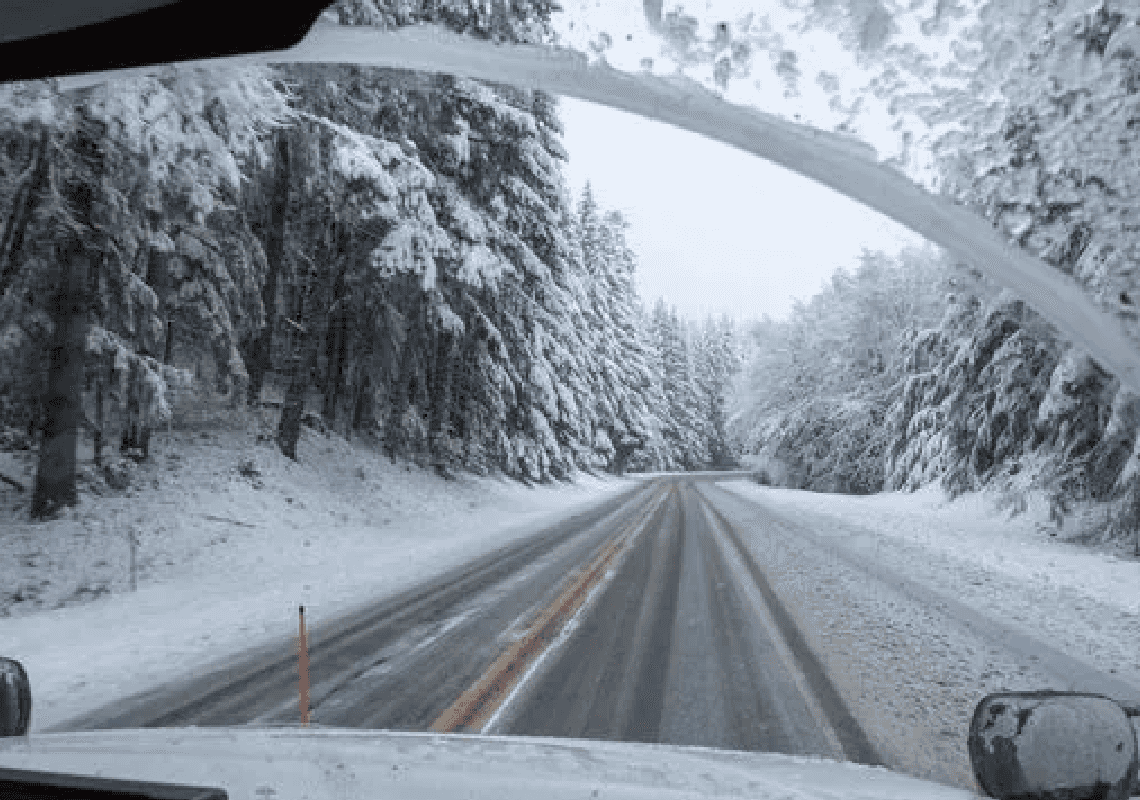 לא רק גשם: קליפורניה צפויה לראות שלג בסוף השבוע הקרוב