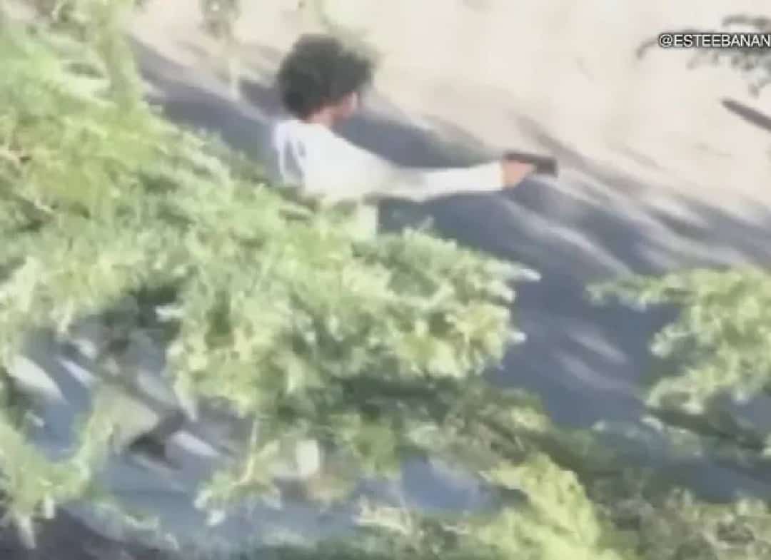 צפו: ירה בשוטרת לאחר שגנב את אקדחה