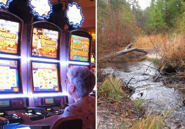 "אל תשתמשו בווייז": אפליקציית הניווט שלחה עשרות מהמרי קזינו ליער