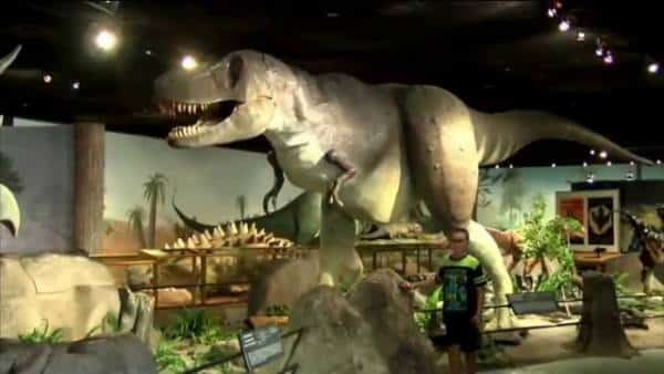 כשאתם בלאס וגאס עם הילדים: מוזיאון ההיסטוריה של הטבע מזמין אתכם להרפתקה ברחבי העולם 