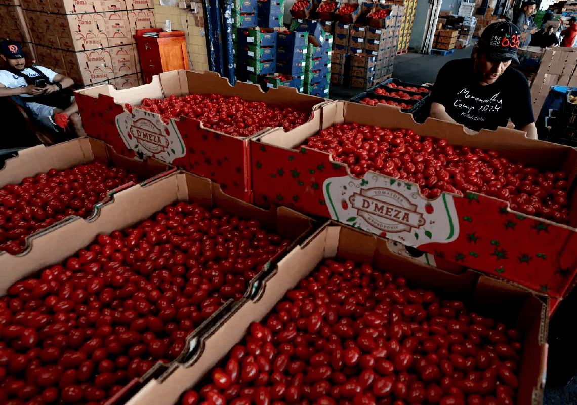 טראמפ מטיל מכס של 21% על עגבניות ממקסיקו: מכה לצרכנים או הגנה על החקלאים?