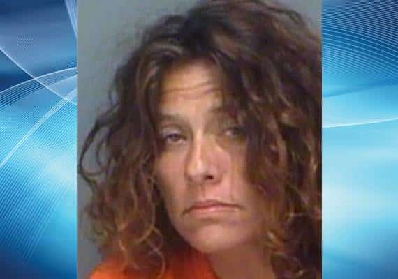 פלורידה: רצה בעירום בפארק בגלל "עכביש ענק"