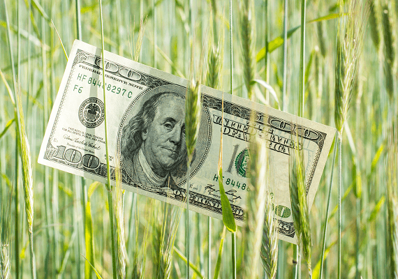 בית הנבחרים העביר "חוק חוות" שיקצץ תלושי מזון למיליונים