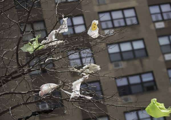 "צעד גדול בכיוון הנכון": ניו יורק נפרדת משקיות הניילון