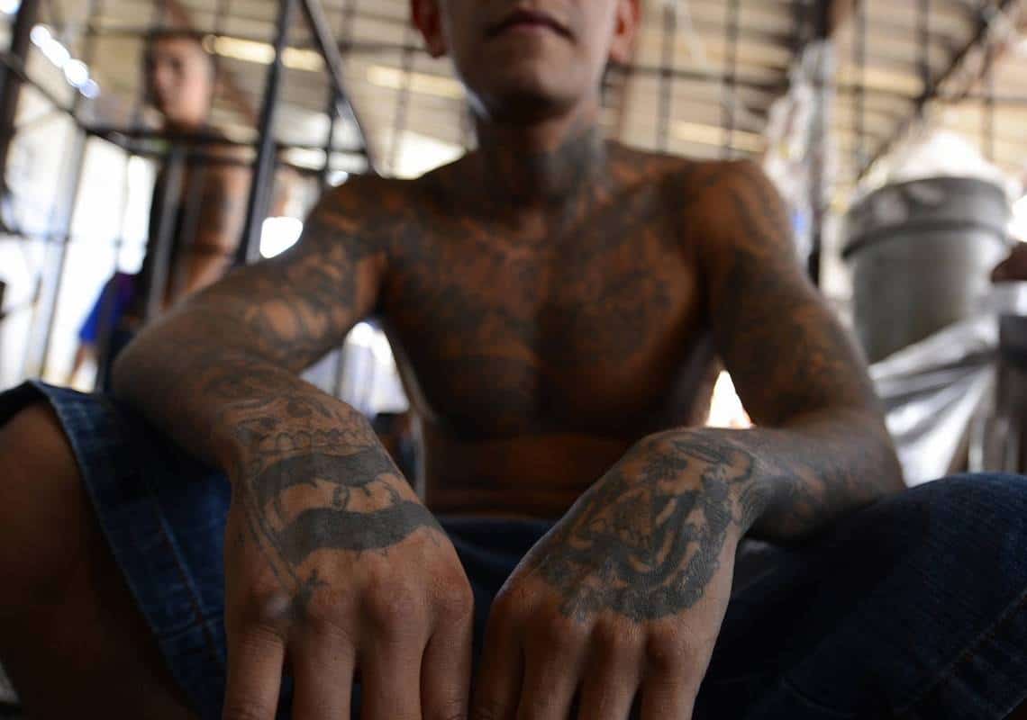 "היכו, חנקו ודקרו": האם אנשי כנופיית MS-13 עומדים מאחורי רצח הנער בפארק בניו יורק?