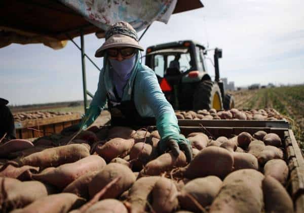 איום כלכלי חדש: מוקד התפרצות קורונה נוסף בקליפורניה עלול להשפיע על הכיס שלכם