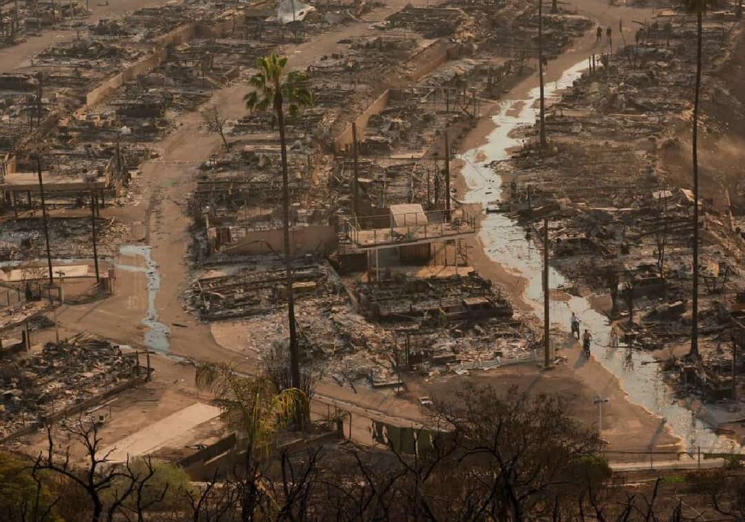 ענף הבנייה בלוס אנג'לס מתכונן לאתגרי השיקום: יהיה מחסור בקבלנים, בחומרים ובכוח אדם
