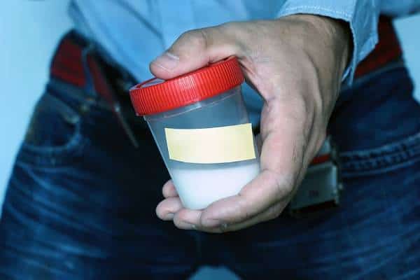 גבר, אתה הכי פורה באביב ועכשיו: כך עולה ממחקר חדש 