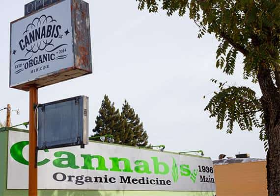 שנתיים אחרי החלת החוק, פרבר של סן חוזה עשוי להתיר לחנויות קנביס לפעול בתחומה