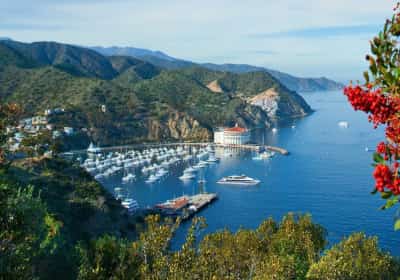 האי הקסום שמרגיש כמו מפלט מהמציאות - והוא נמצא רק שעה מלוס אנג'לס