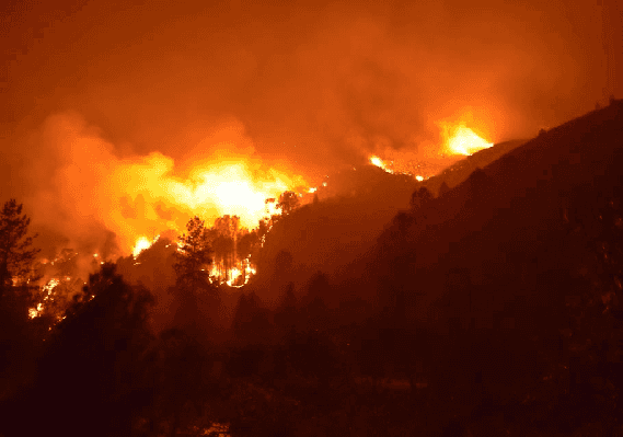 חלקים גדולים מהפארק הלאומי יוסמיטי נסגרו בשל שריפת הענק
