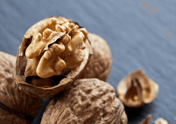 נחשף הקשר בין צריכת אגוזי מלך להאטה בתהליך הזדקנות המוח