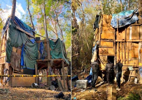 במהלך פינוי הומלסים מוואלי לוס אנג'לס: המשטרה מצאה "בית על עץ"