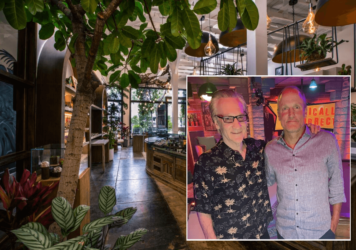 ווסט הוליווד: חנות הקנאביס של וודי הרלסון וביל מאהר נשדדה