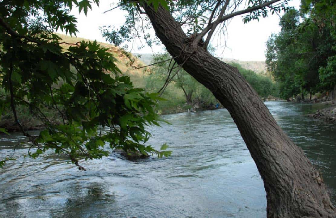 פרשנות: אגדת הנסיגה לליטני היא מלכודת מוות לישראל שתמנף את החיזבאללה לגבהים חדשים