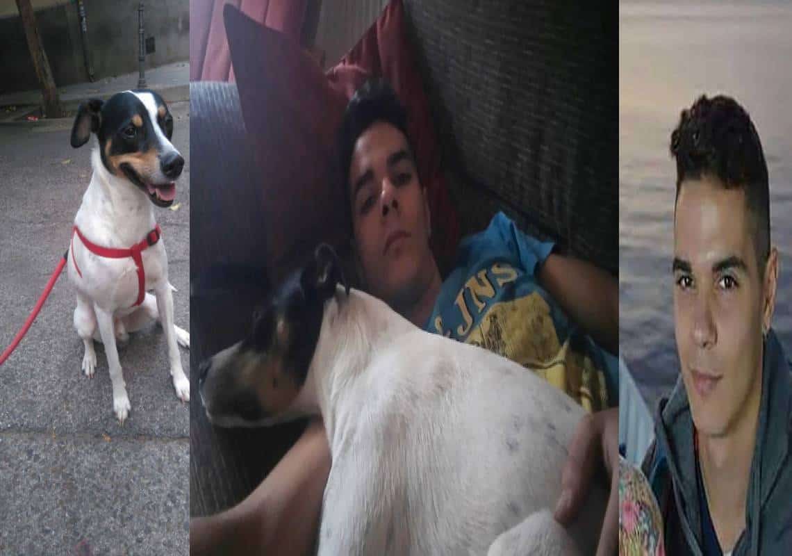 "אני והכלב אכלנו אותה": המלצר חנק את אמו, ביתר את גופתה ל1000 חתיכות, איחסנם בכלי פלסטיק, וסעד ממנה עם כלבו