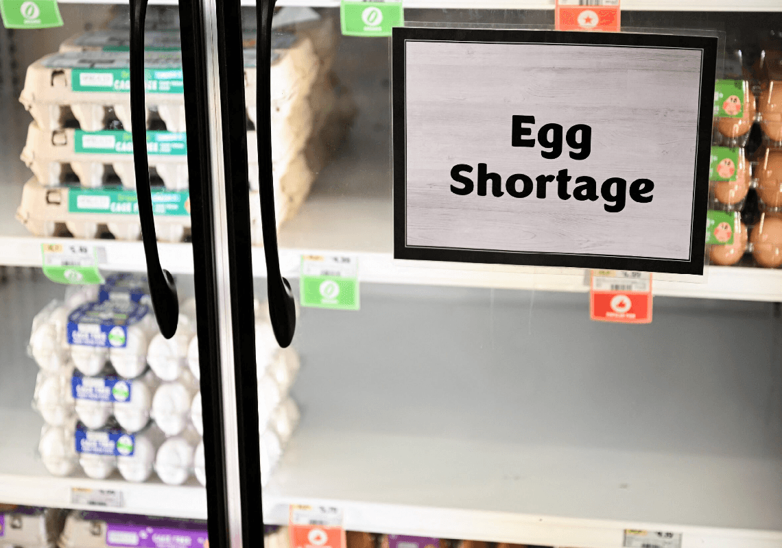מחסור חמור בביצים: רשתות המזון הגדולות מגבילות את הצרכנים בכמות התבניות 