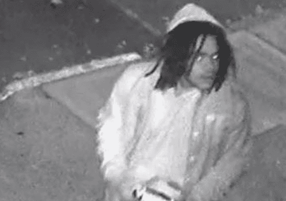 עבודה מהירה: נעצרו שני החשודים בציור צלבי קרס בברוקלין הייטס