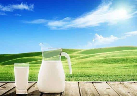 חלב: טוב לבריאות או לא?