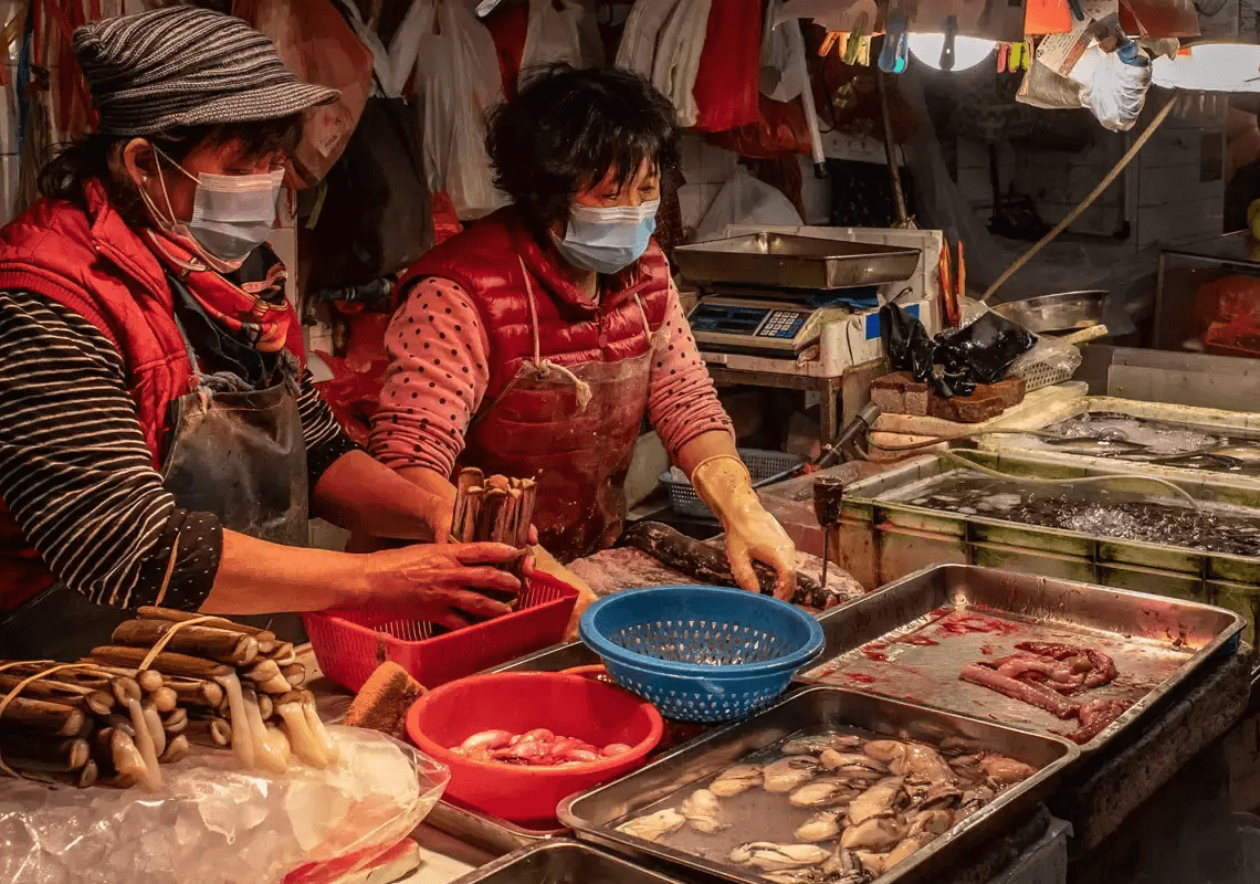 בעולם מתחילים להאמין שהקורונה דלפה ממעבדה – אך מחקר חדש מראה אחרת