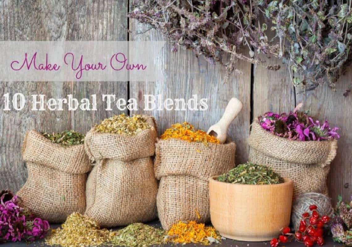 מדריך חליטות התה לגידול ביתי שאסור לך לפספס: 10 סוגי החליטה הטובים ביותר שניתן לגדל בבית ובקלות 