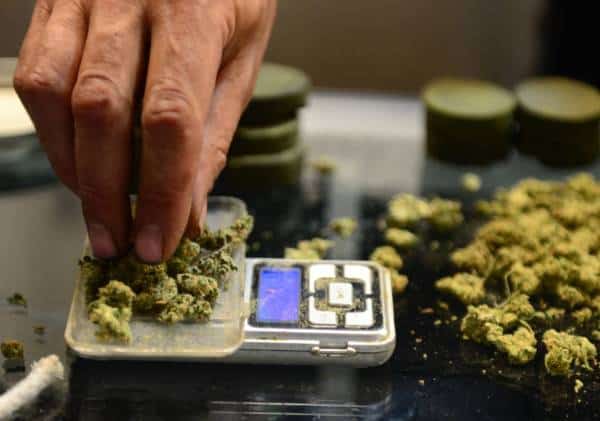 קליפורניה תאפשר לתלמידים להביא קנאביס לבית הספר