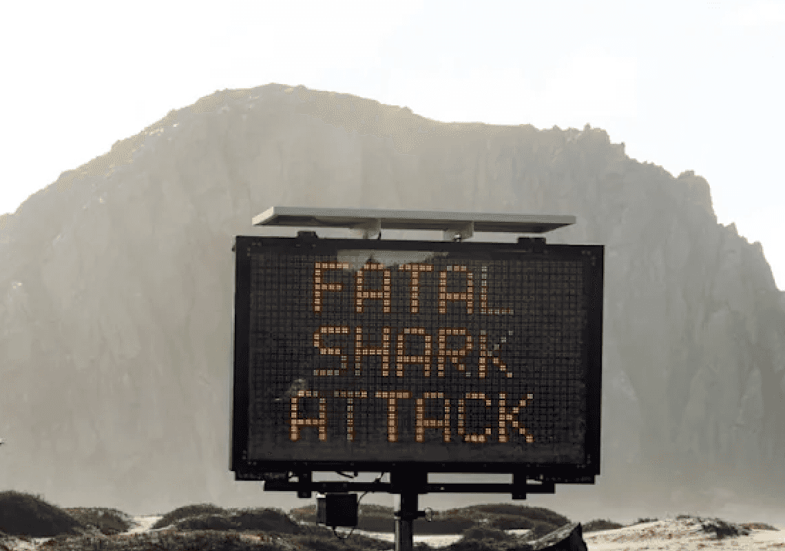 קליפורניה: גבר כבן 30 מת מנשיכת כריש | הרשויות סגרו את החוף