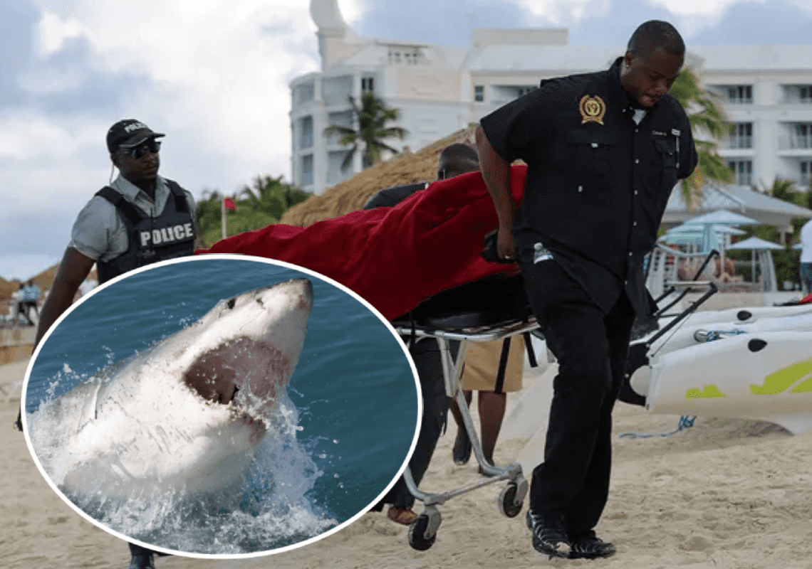 שתי תיירות אמריקאיות נפצעו בתקיפת כריש באתר נופש פופולרי