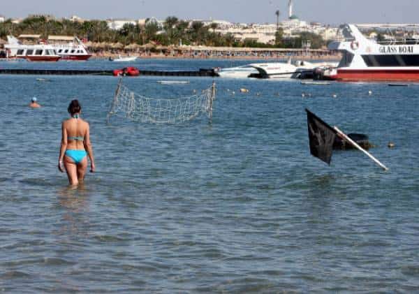דם בים האדום: תייר בן 12 איבד את ידו, ומדריך הצלילה איבד את רגלו, כתוצאה ממתקפת כריש