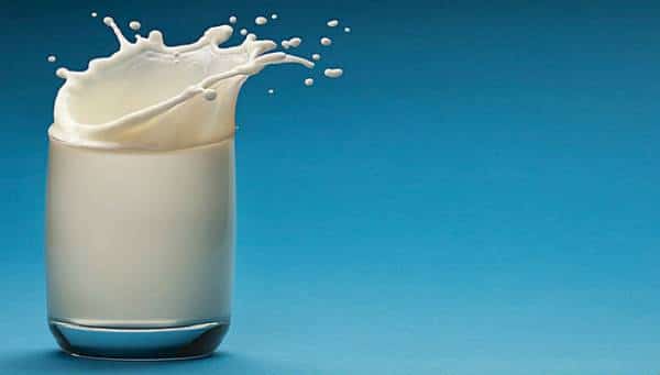 יש לנו שתי מילים בשבילכם: חלב מקקים. הטרנד הבא בסצנת המזון מזין יותר מחלב פרה 